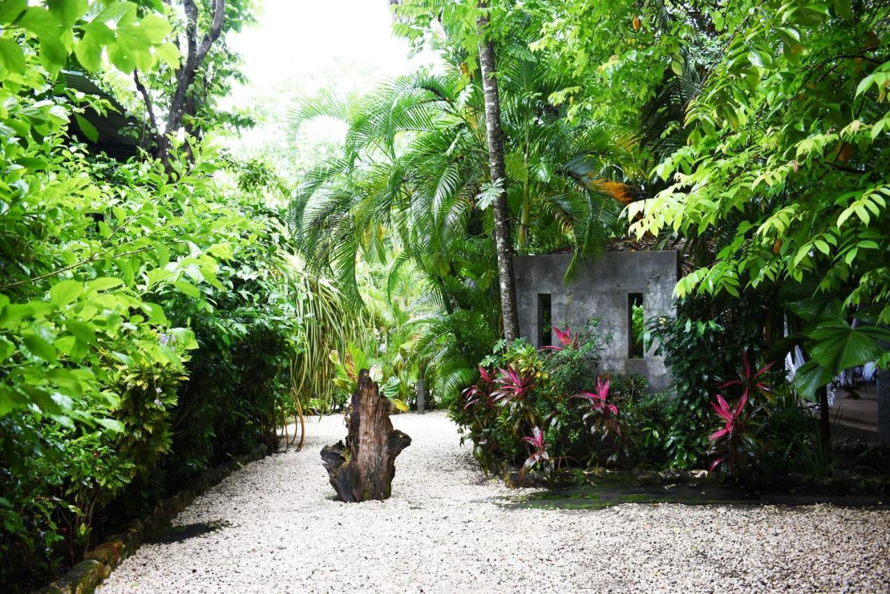 Pachamama Lodge Playa Santa Teresa  Exteriér fotografie