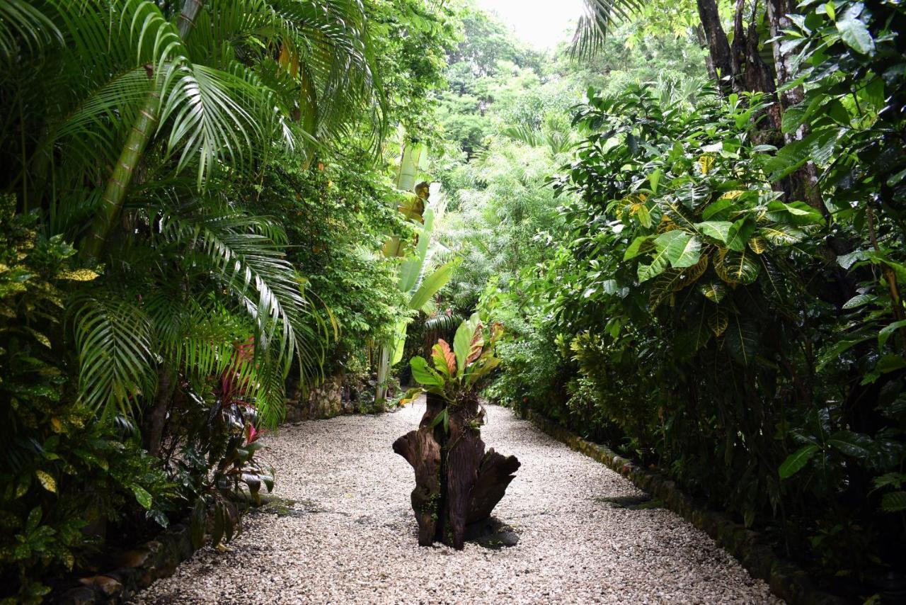 Pachamama Lodge Playa Santa Teresa  Exteriér fotografie